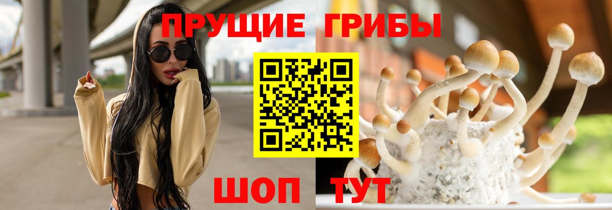 Усть-Джегута  Псилоцибиновые грибы мицелий  где купить наркоту  Вход с VPN 